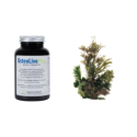 Osteolive Plus - doplněk stravy s vitamínem C+D3+K2